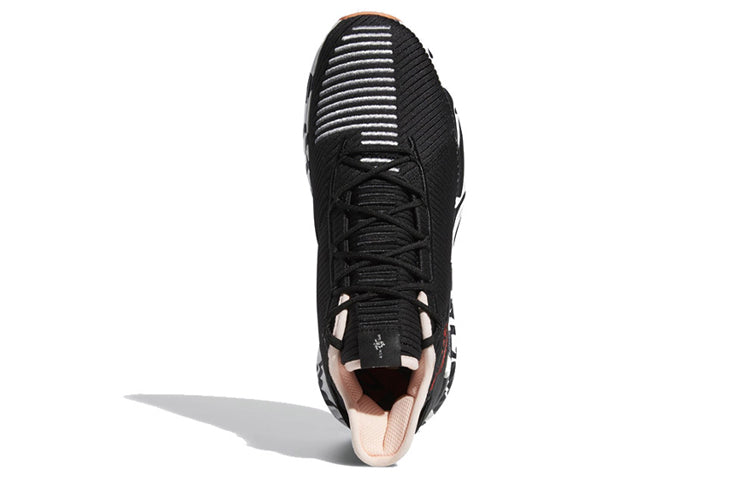 Adidas D Rose 9 'Zebra'